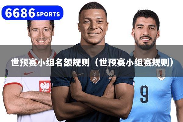 世预赛小组名额规则（世预赛小组赛规则）