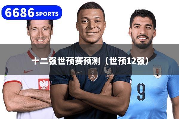 十二强世预赛预测(世预12强)
