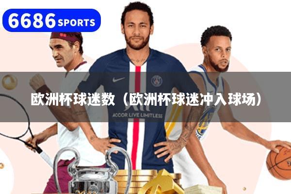欧洲杯球迷数(欧洲杯球迷冲入球场)