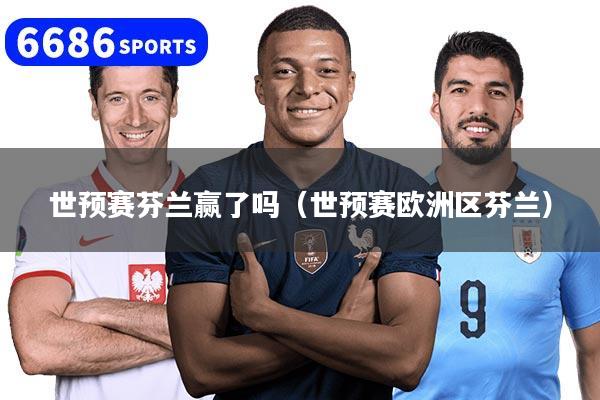 世预赛芬兰赢了吗（世预赛欧洲区芬兰）